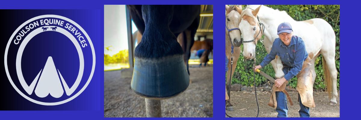 barefoot hoof trimmer Atherton Tablelands NQ